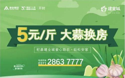 今日头条大蒜农爆料,丰收却难卖,蒜农心声引关注 第2张 今日头条大蒜农爆料,丰收却难卖,蒜农心声引关注 第2张